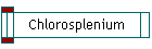 Chlorosplenium