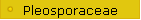 Pleosporaceae
