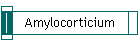 Amylocorticium