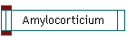 Amylocorticium