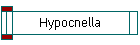 Hypocnella