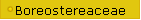 Boreostereaceae