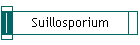 Suillosporium