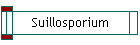 Suillosporium