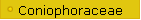 Coniophoraceae