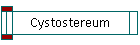 Cystostereum