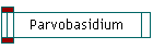 Parvobasidium