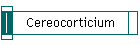 Cereocorticium