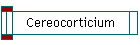 Cereocorticium