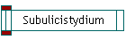 Subulicistydium