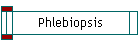 Phlebiopsis