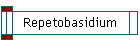 Repetobasidium