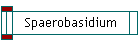 Spaerobasidium