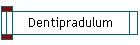Dentipradulum