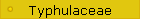 Typhulaceae
