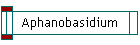 Aphanobasidium